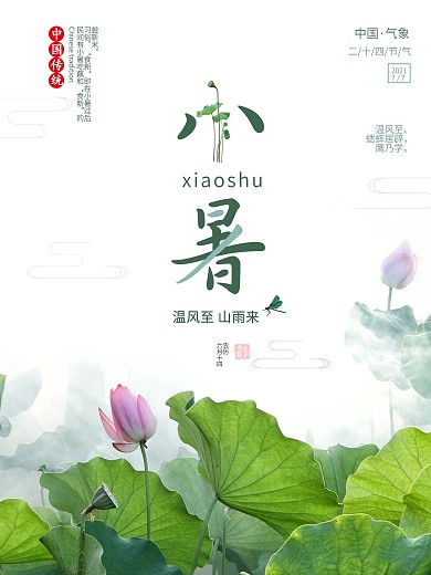 小暑节气 中国传统 中国风 文艺范 荷花