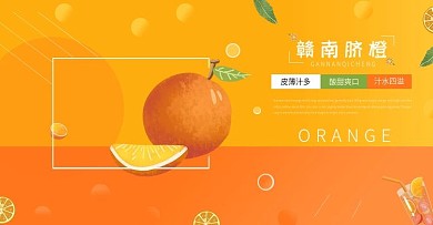 赣南脐橙橙子Banner