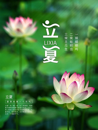 简约立夏宣传海报绿色小清新荷花背景素材图