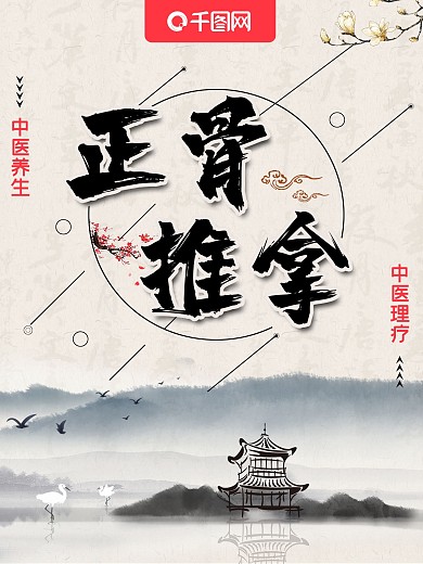 中药调理养生医疗保健美容海报