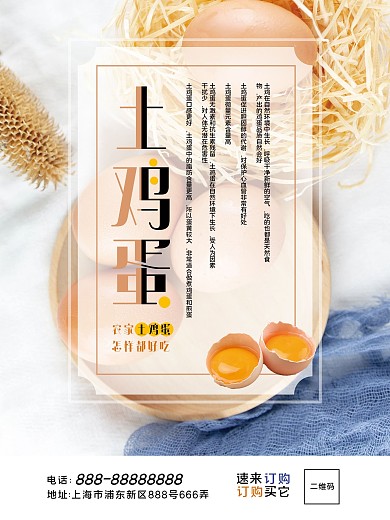 简约清新农家土鸡蛋海报