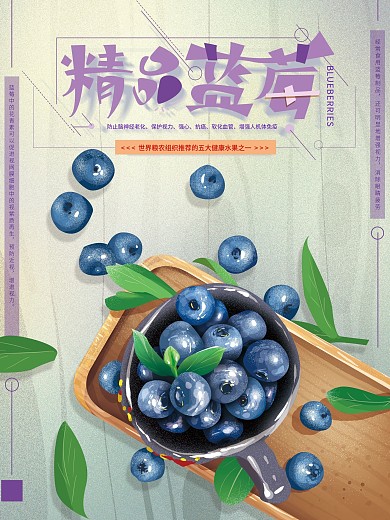 原创手绘清新精品蓝莓海报