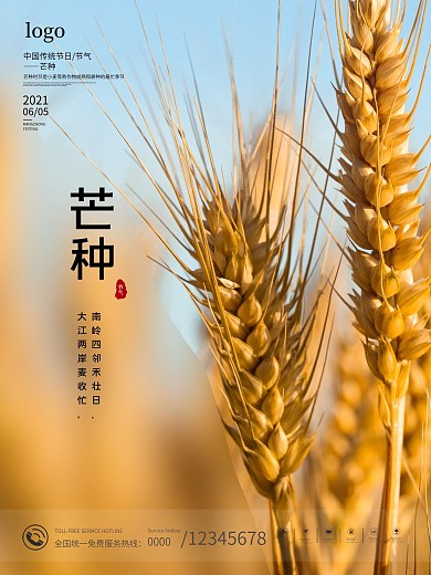 二十四节气芒种摄影海报