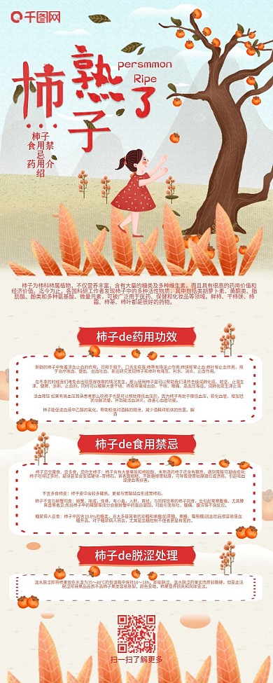 柿子食用介绍柿子功效信息长图