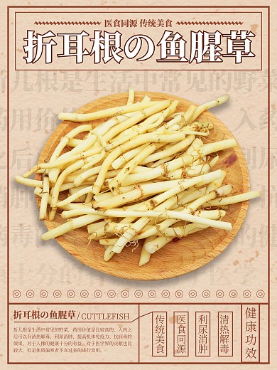 简约时代感复古风中国风折耳根宣传海报