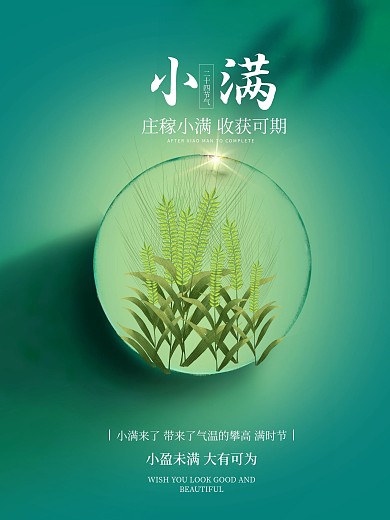 小满海报 节气海报 传统节日 二十四节气