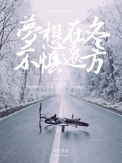 清新简约梦想在冬不惧远方文艺正能量海报