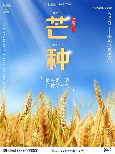简约风芒种摄影图海报