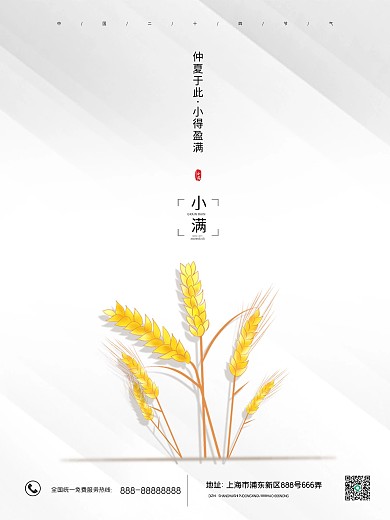 二十四节气小满金水稻简约海报