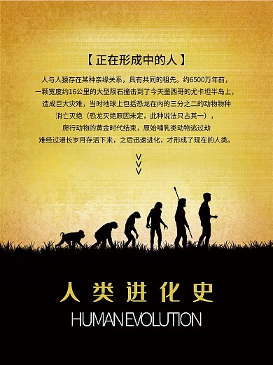 人类进化海报