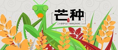 芒种公众号封面图