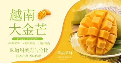 电商越南芒果banner图