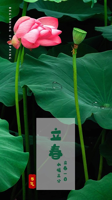 立春节气宣传手机海报