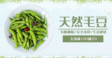 天然毛豆电商海报