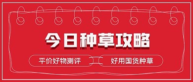 今日好物测评种草攻略