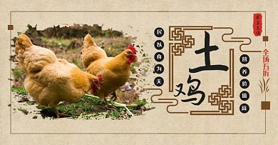农家土鸡电商促销海报