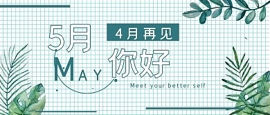 清新简约5月你好