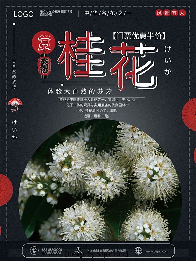 赏桂花深蓝色日式旅游海报