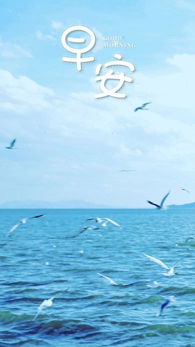 手机海报大海蓝天白云海鸥鸟海鸟海水美景