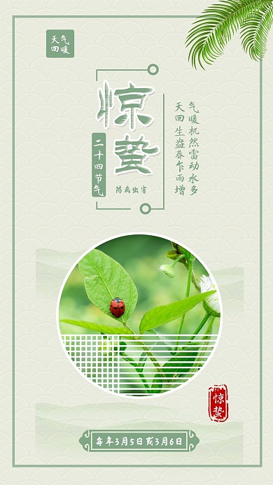 惊蛰节气春天昆虫立春手机海报配图