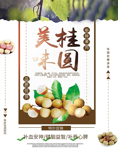 美味桂圆水果美食海报