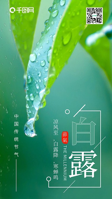 二十四节气白露手机海报设计