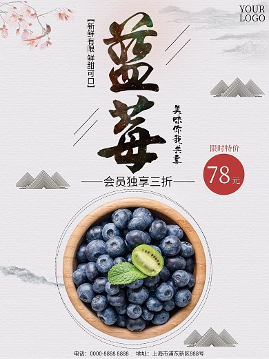 白色背景简约中国风美味蓝莓宣传海报