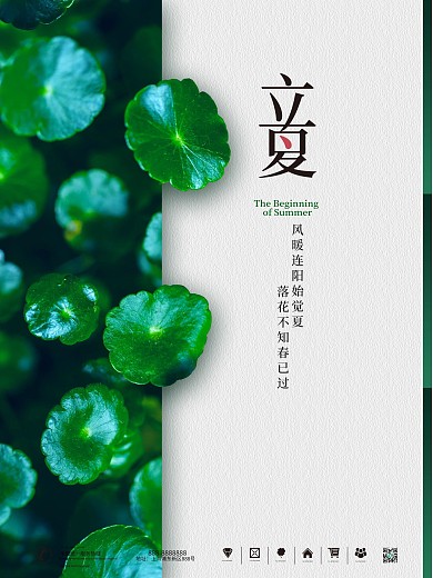 传统24二十四节气立夏节气宣传海报
