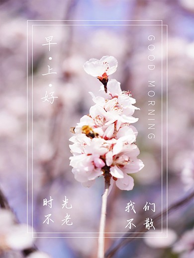 早上清新海报设计