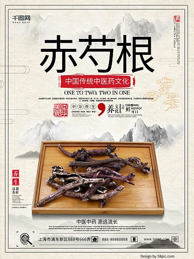 浅色中医药中国风赤芍根海报设计