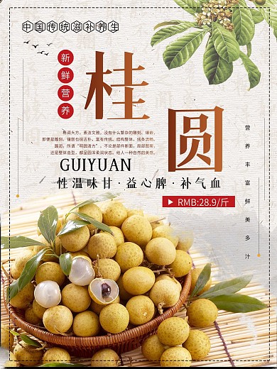 复古文艺清新食品水果桂圆海报设计
