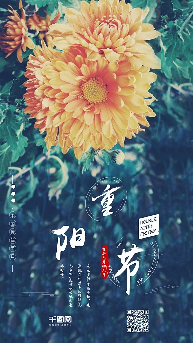 重阳节清新赏菊赏秋菊花手机海报