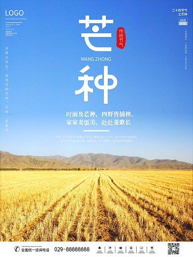 摄影图芒种二十四节气海报