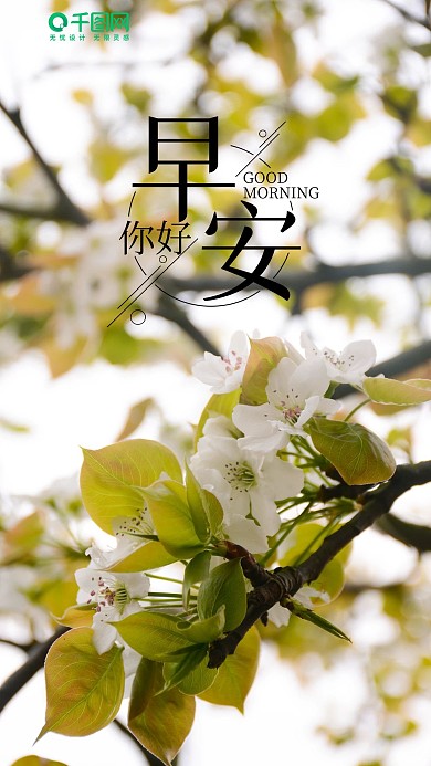 简约清新你好早安摄影图海报
