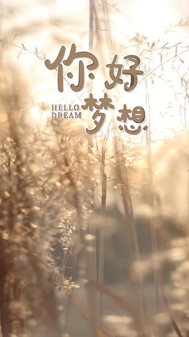 手机海报阳光草丛美好心语心情配图