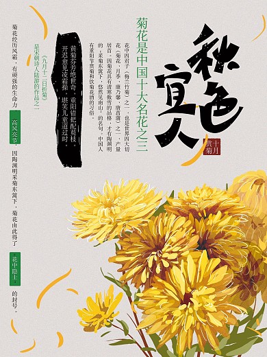 原创简约文艺赏菊旅游海报