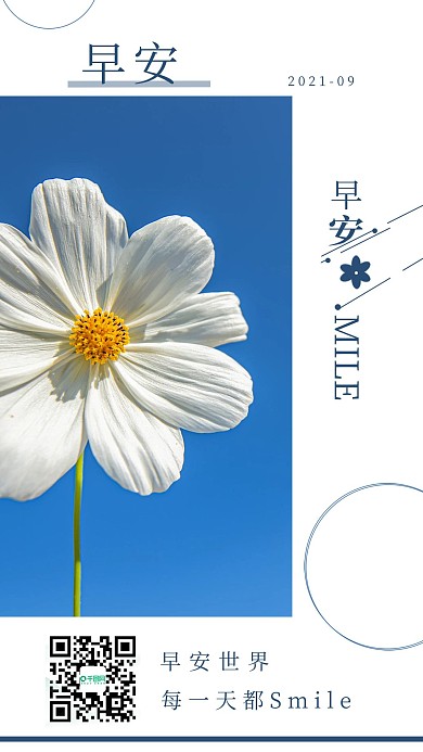 简约清新早安雏菊日签