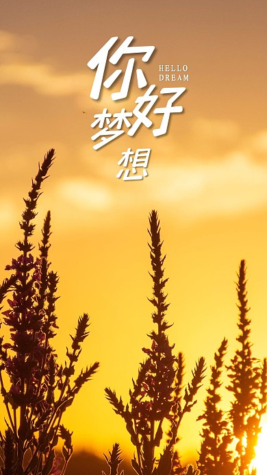 手机海报黄昏夕阳美景草