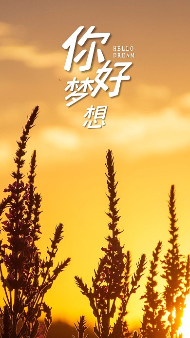 手机海报黄昏夕阳美景草