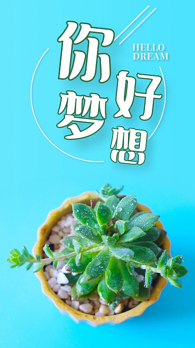 手机海报小盆景植物绿植你好梦想