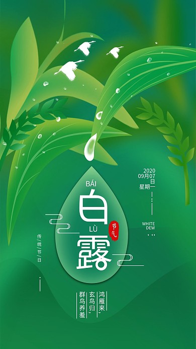 原创二十四节气白露简约手机海报