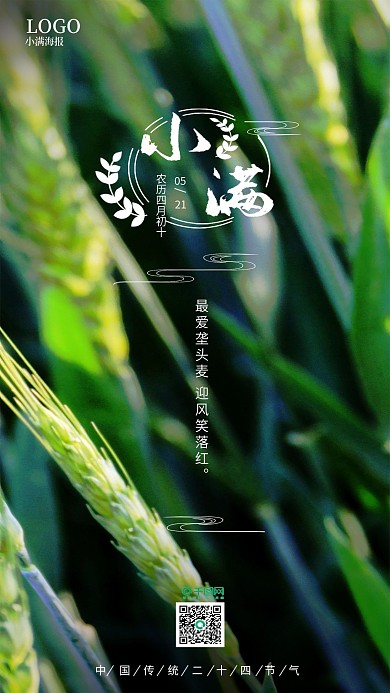 小满节日节气手机海报