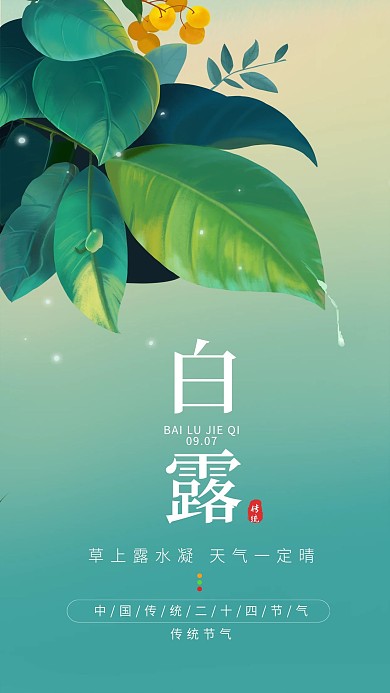 白露节气简约手机海报