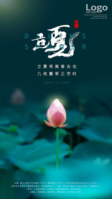 大气简约地产立夏节气品宣摄影图类手机海报