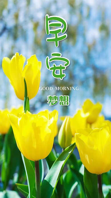 手机海报植物美丽花黄的花早安梦想