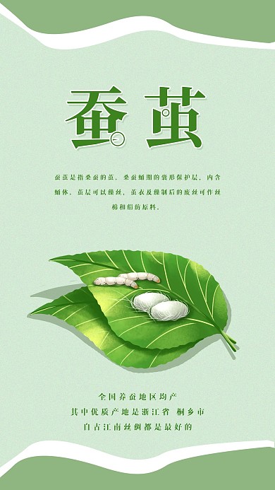 蚕茧儿童科普简约手机海报