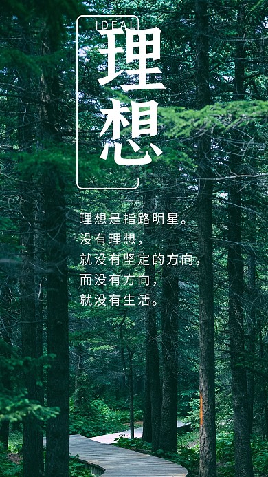 理想森林树林清新