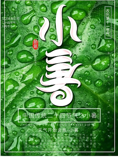 创意清新雨水绿色摄影图小暑节气海报