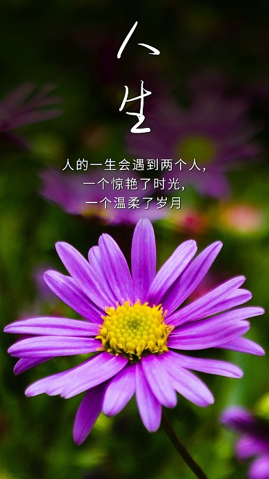 人生美丽花心语心情