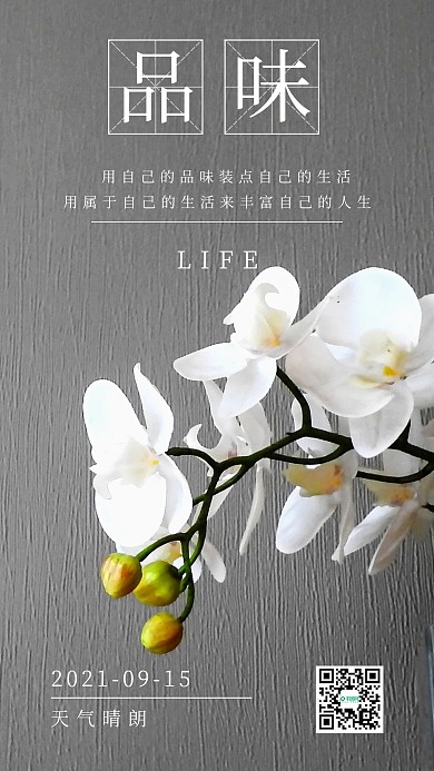 简约品味清新日签